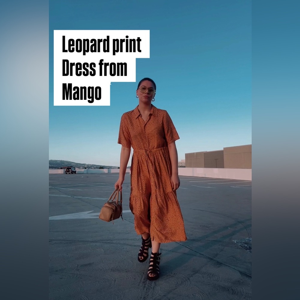 Mango Leopard Dress